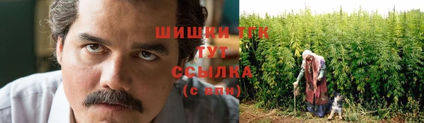 гидра Киренск