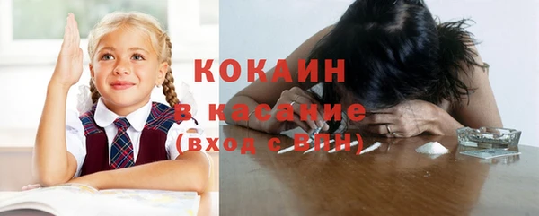индика Кодинск