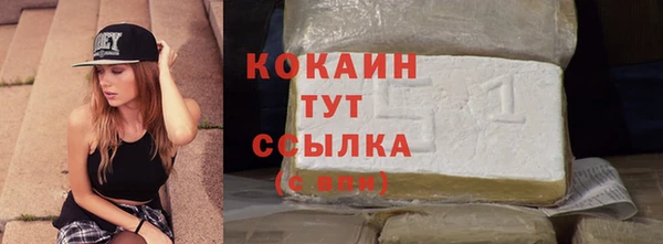 гидра Киренск