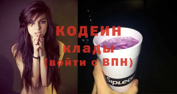 индика Кодинск