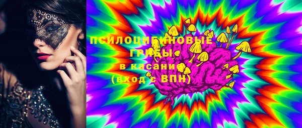 индика Кодинск
