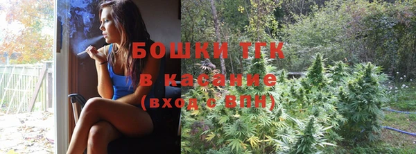 индика Киреевск