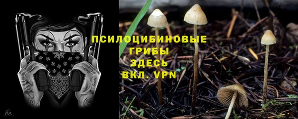 крисы Козловка