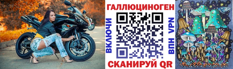 Псилоцибиновые грибы мицелий  Купить  Великий Устюг 