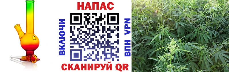 Марихуана THC 21% Купить закладки Великий Устюг